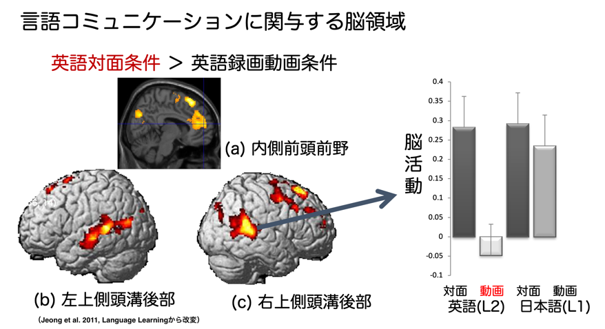 言語コミュニケーションに関与する脳領域の図