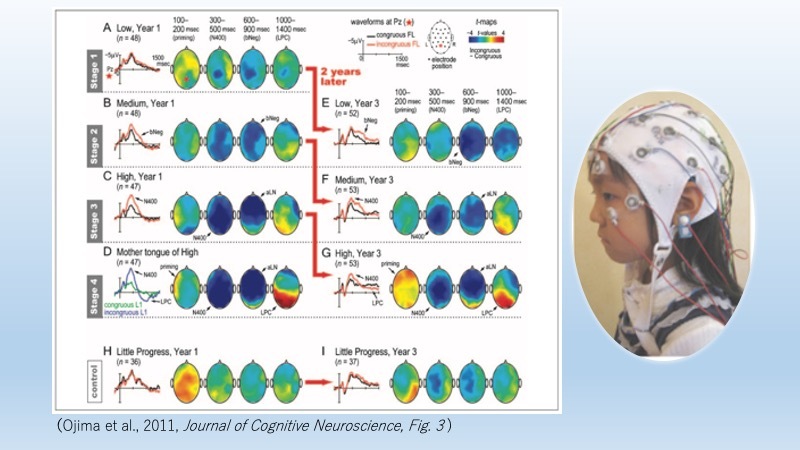 日本の子どもの脳は、英語にどう反応する？世界に先駆けた大規模な研究