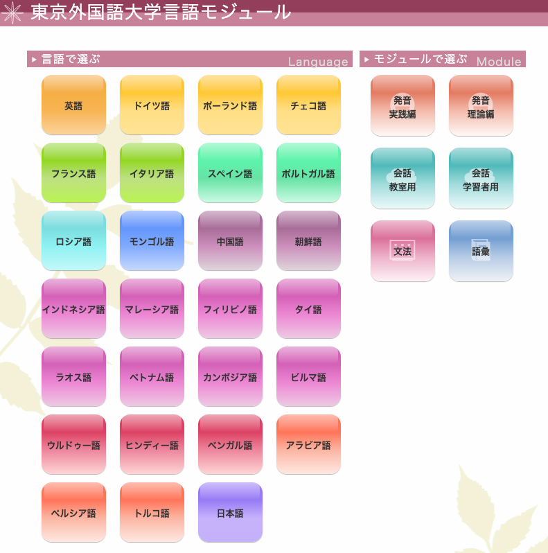 図｜東京外国語大学（TUFS）言語モジュール　